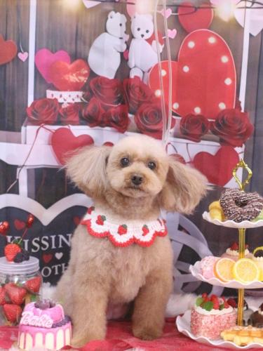 20250223メルちゃん